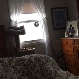 Meet your Posher, Liz